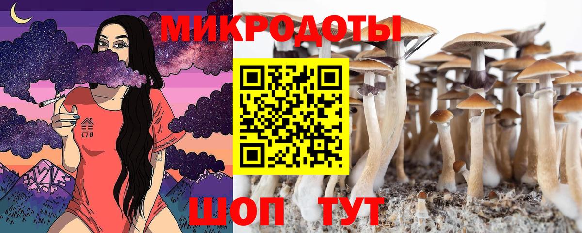Псилоцибиновые грибы прущие грибы Новороссийск
